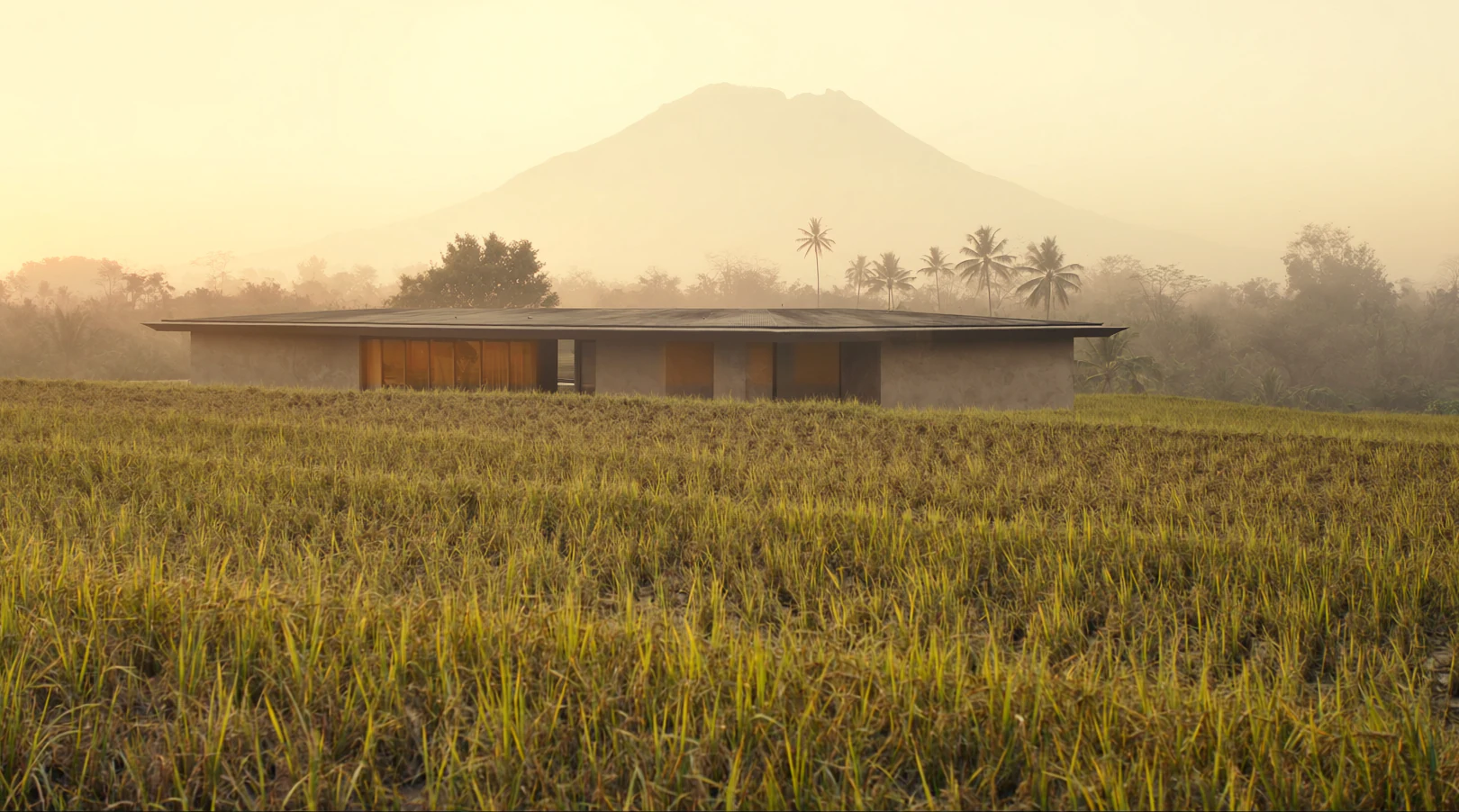 Rice fields at the end of the day, with a low house on the far side and a volcano behind the haze